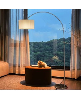 Living room full spectrum fishing lamp, floor lamp, French style quiet breeze, light luxury, atmospheric simplicity, decorative atmosphere lamp next to the sofa